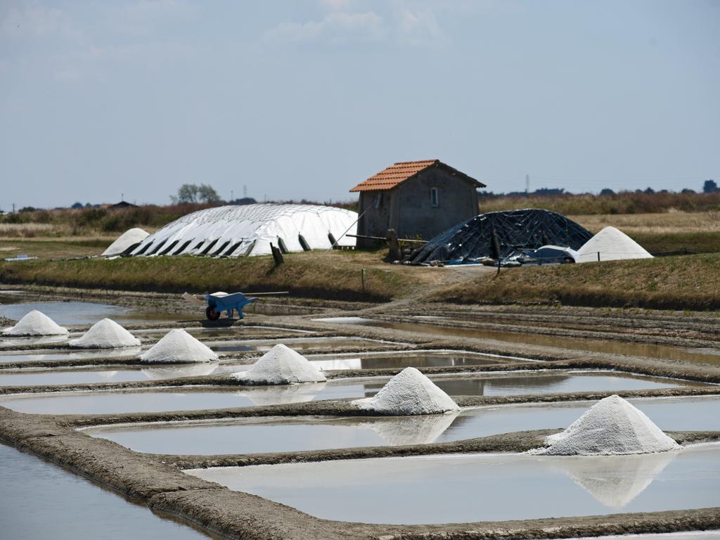 Huttopia Noirmoutier Ngoại thất bức ảnh